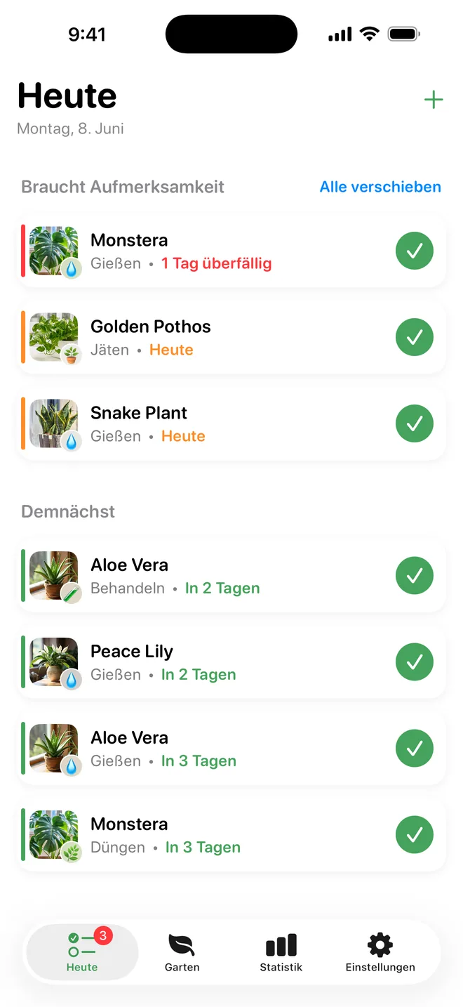 Nie das Gießen vergessen