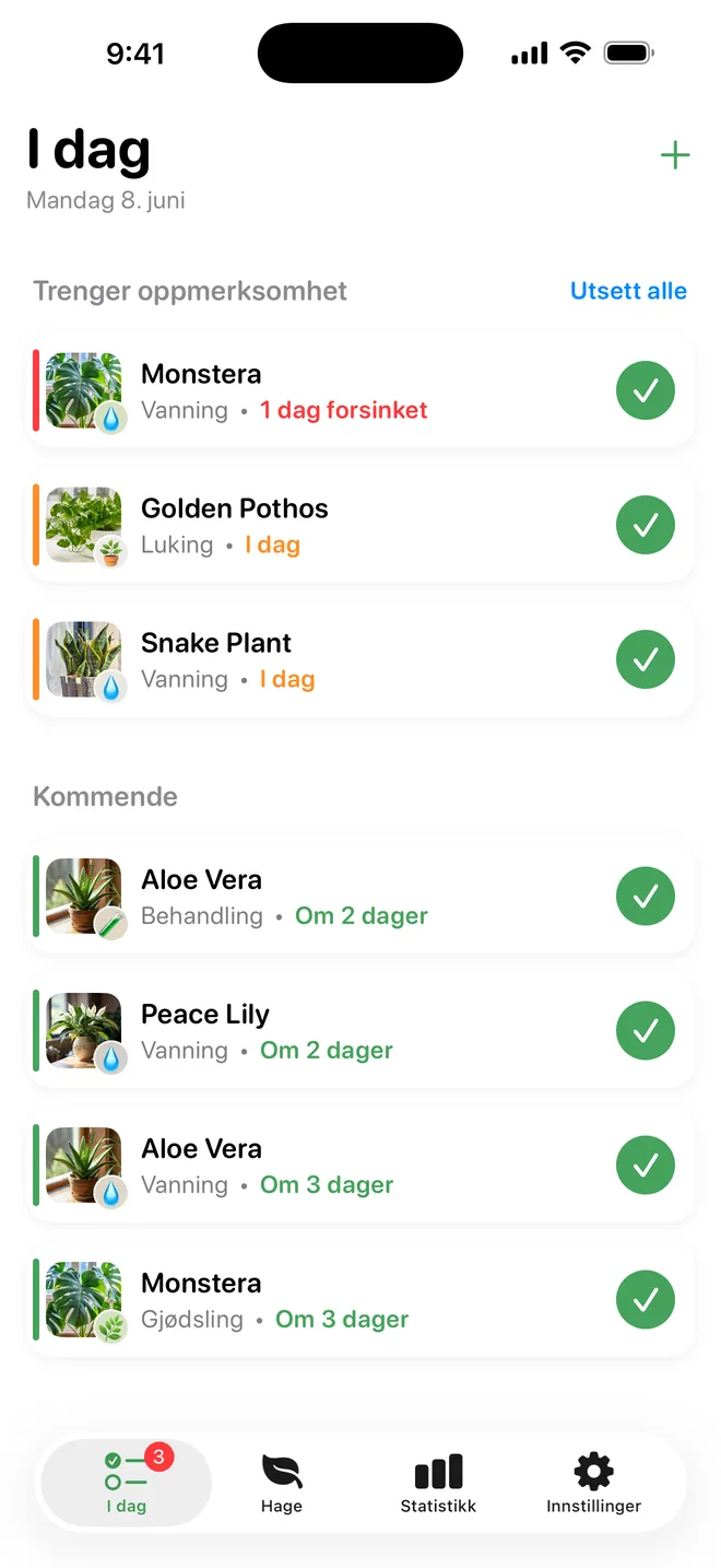 Glem aldri å vanne
